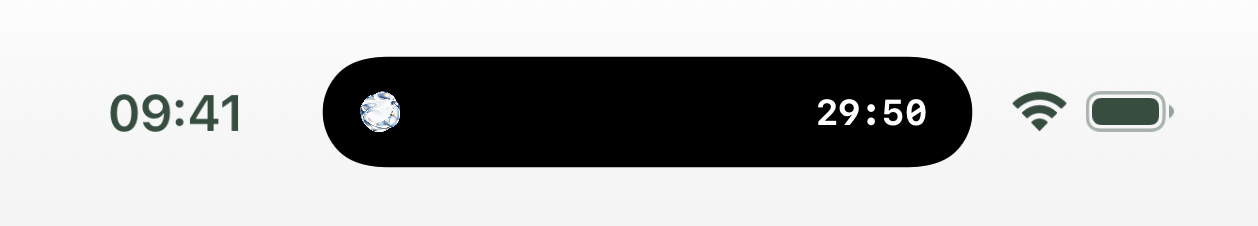 Check-In Timer Dynamic Island